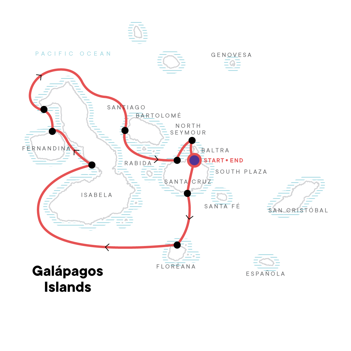 Galápagos – West and Central Islands aboard the Reina Silvia Voyager (Cruise Only)